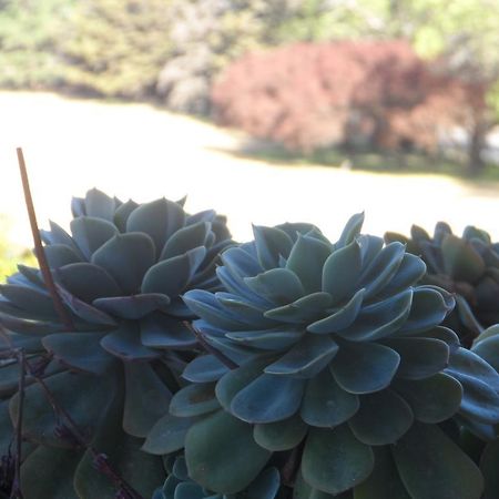 Hotel Victoria Golf La Cumbre Dış mekan fotoğraf